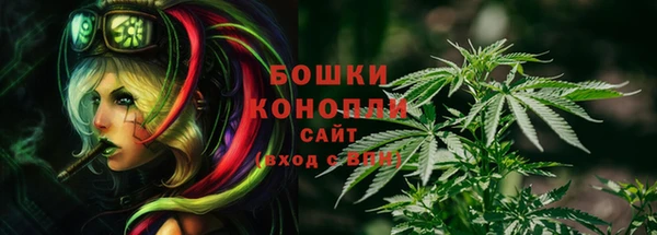 Альфа ПВП Беломорск