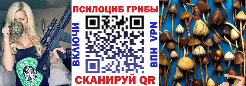 Псилоцибиновые грибы Psilocybine cubensis дарнет шоп нарко площадка клад Карталы omg как войти
