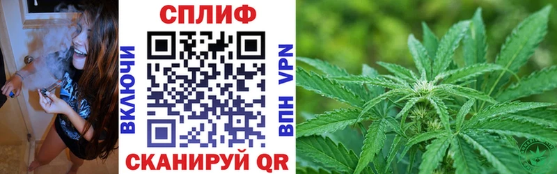 Конопля гибрид  Карталы 
